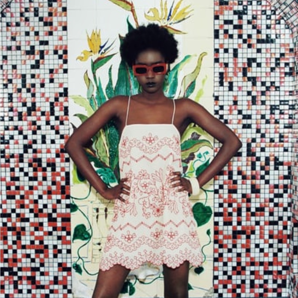 Zara red and cream printed dress